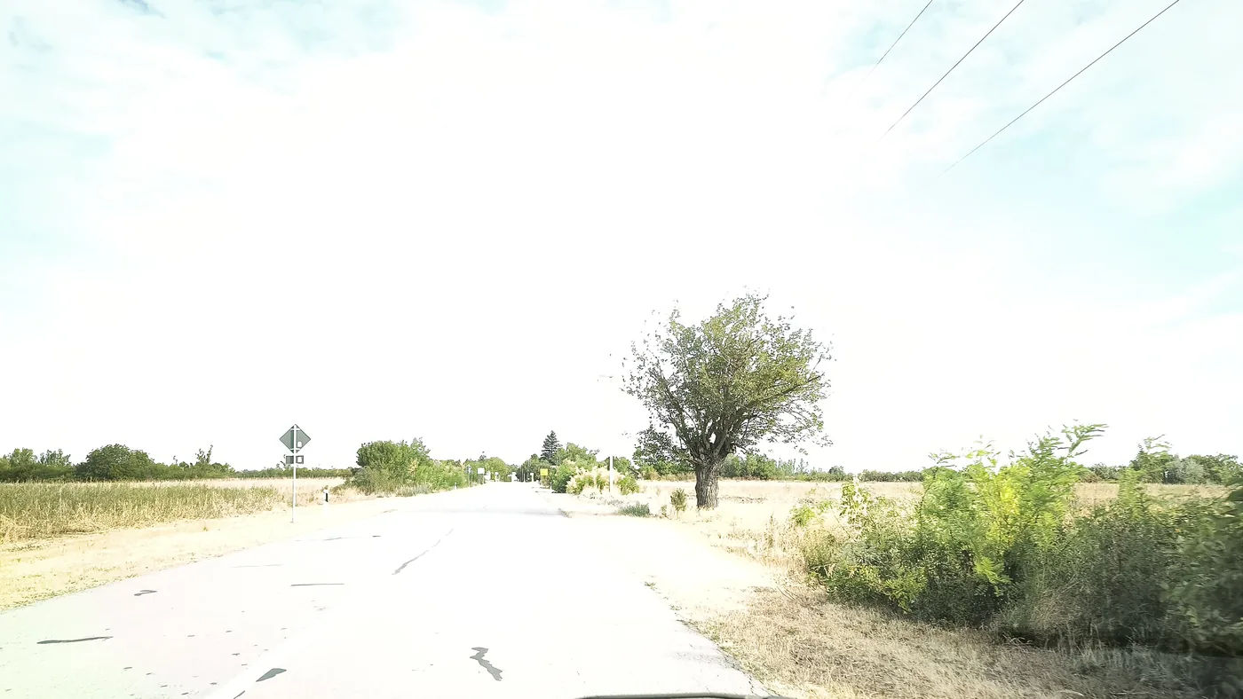 A narrow, patched country road through dry fields in northern Serbia with a single tree beside it and a priority road sign