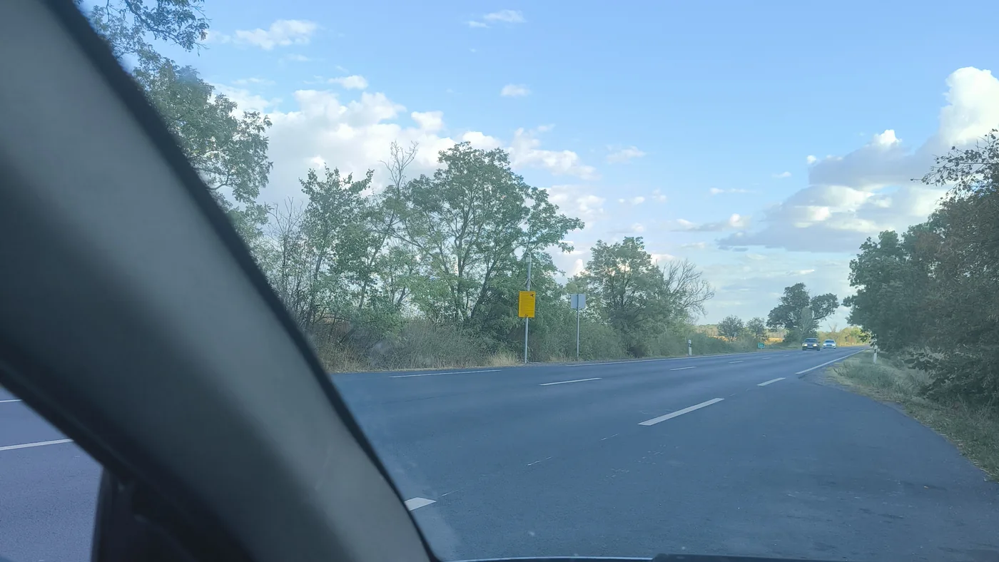 A wide road through trees under a blue sky with light clouds, seen from the driver's seat with the steering wheel in view