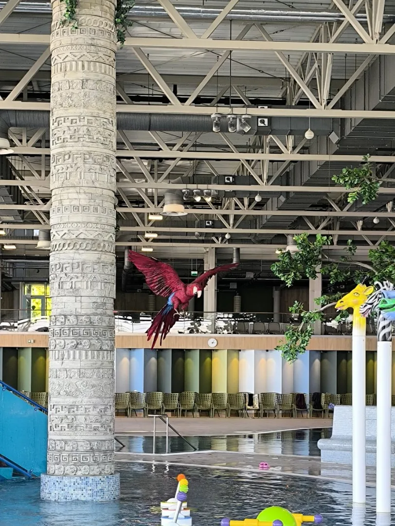 A tall carved stone-effect column in an indoor pool hall with a red model parrot in flight and water toys in the pool