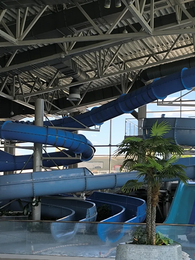 Blue water slides winding under the steel roof of an indoor water park, with an artificial palm in a tiled planter