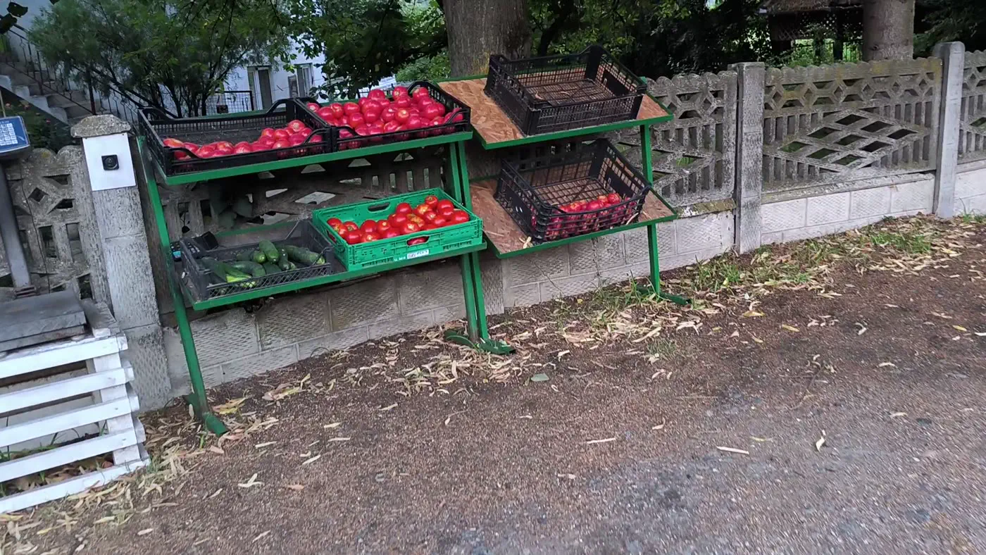 An unattended roadside produce stand in a Serbian village selling tomatoes and cucumbers in crates
